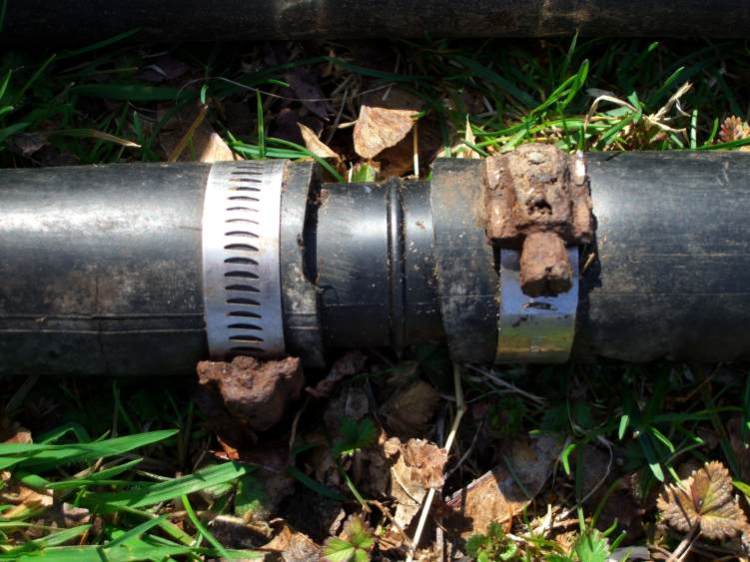 cimg1422-stainless-steel-hose-clamps cimg1422-stainless-steel-hose-clamps