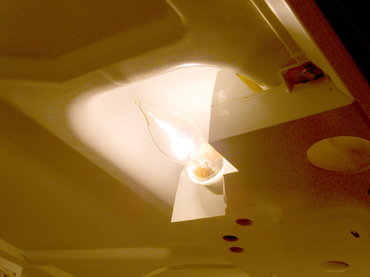 Chandelier Bulb in Refrigerator