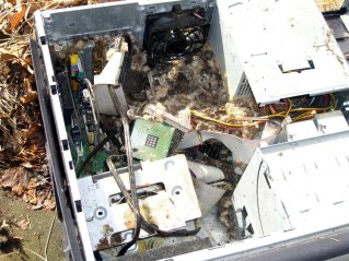 Mouse-infested PC Overview