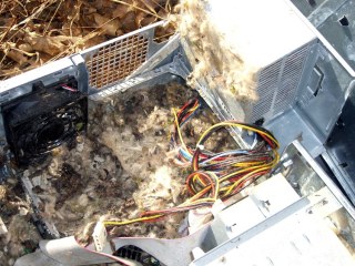 Mouse nest below power supply
