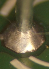 cimg3574 - Joint 2 Joint 2