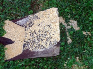 Some of the water heater sediment