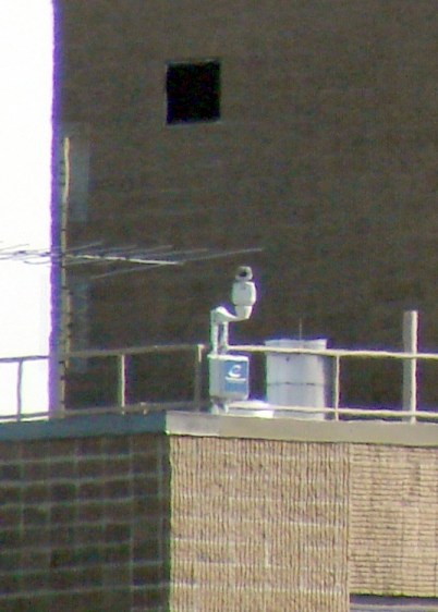 Walkway Webcam on Railing