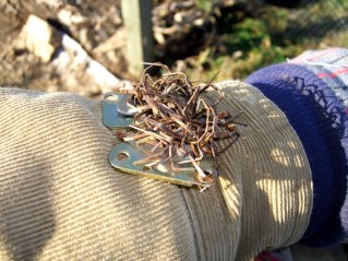 Magnetic Staple Collector