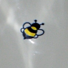 Urinal target