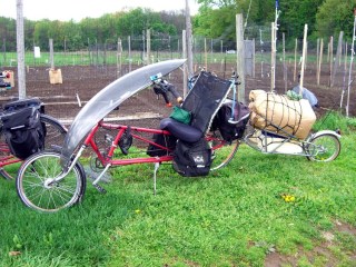 cimg4714 - Trailer with Package and Shredded Leaves Trailer with Package and Shredded Leaves