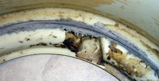 Outer Tub Damage - Inside Detail