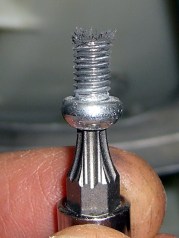 Magnetized Screw