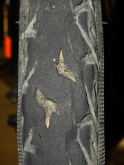 Gashed tread