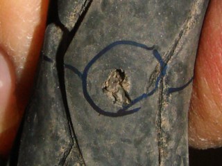 dsc05973 - Embedded glass fragment Embedded glass fragment