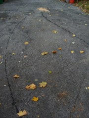 cimg5510 - Oil trails on driveway Oil trails on driveway
