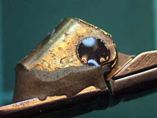 cimg5521 - Sunglass hinge screw - epoxy Sunglass hinge screw - epoxy