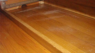 Diatomaceous Earth under bed