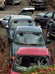 Windshield head strikes