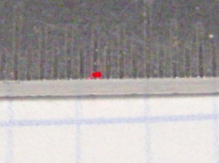 Attenuated laser spot size