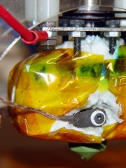 dsc00411 - Thermocouple mount in place Thermocouple mount in place