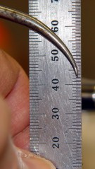 dsc00542 - Rod height on scale Rod height on scale