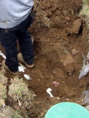 Last view of the plug