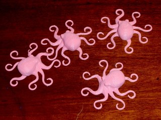 cimg5864 - Small octopus quartet Small octopus quartet