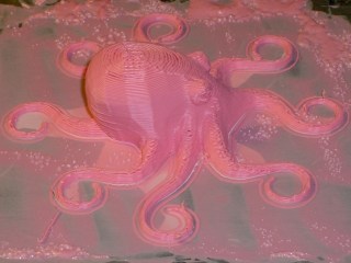 cimg5874 - Octopus at 80 and 100 mm per sec - success Octopus at 80 and 100 mm per sec - success
