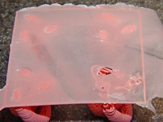 dsc00613 - Bottom view of ABS coating with knots Bottom view of ABS coating with knots