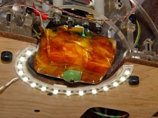 LED ring light installed