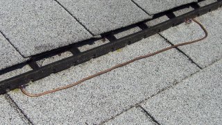 Anti-fungal copper wire test