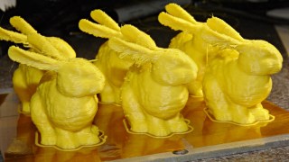 dsc00698 - Small bunnies - ragged edges - 50-100 Small bunnies - ragged edges - 50-100