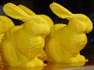 dsc00709 - Small bunnies - ragged ears - 20-100 Small bunnies - ragged ears - 20-100