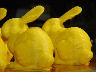 dsc00711 - Small bunnies - droopy tails - 20-100 Small bunnies - droopy tails - 20-100