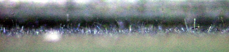 Ampeg Spring Echo Unit - Tin Whiskers