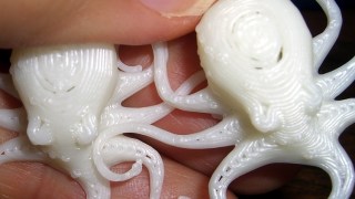 Octopodes - Clip variations