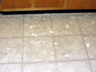 Shattered Corelle plate on floor