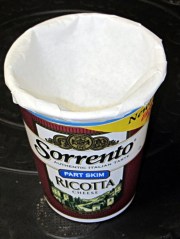 Fruit fly trap - overview