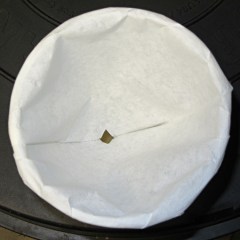 img_0904 - Frut fly trap - filter paper Frut fly trap - filter paper