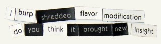 Shredded flavor modification