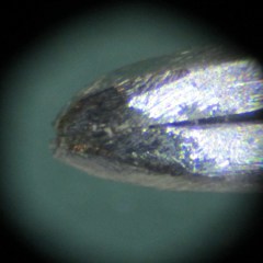 img_1170 - Aligned and shaped tweezer tip Aligned and shaped tweezer tip