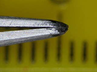 img_1175 - Tweezer tips Tweezer tips