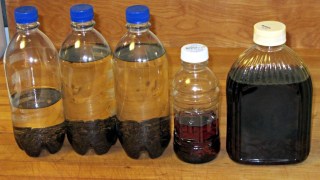 Vanilla extract bottles