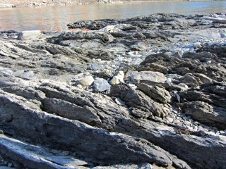 Red Oaks Mill dam - exposed creek bed