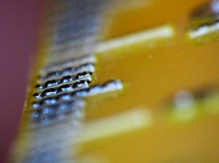 img_0796 - Macro lens depth of field Macro lens depth of field