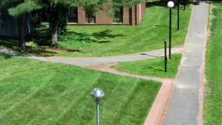 img_1905 - Fork in the path at Trinity Fork in the path at Trinity