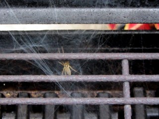 Spider in propane grill