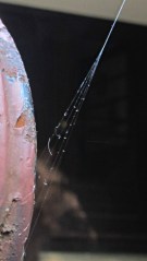 img_2268 - Web anchor on handrail Web anchor on handrail