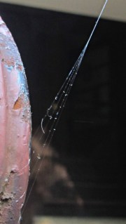 Web anchor on handrail