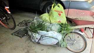 YAK Bike Trailer - 55 lb of grass