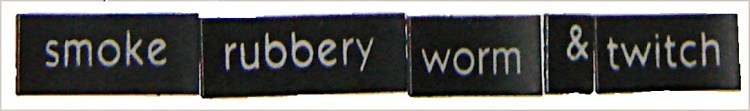 Smoke rubbery worm & twitch