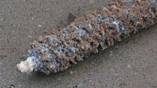 img_2596 - Anode rod - tip Anode rod - tip