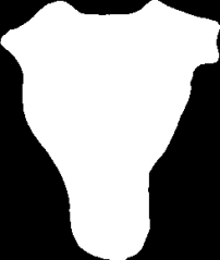 TuxTrace_plate TuxTrace_plate