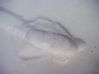 Mary Track in Snow